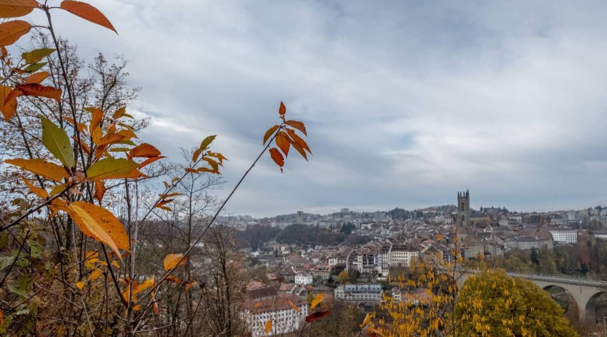 Fribourg Herbstwanderung