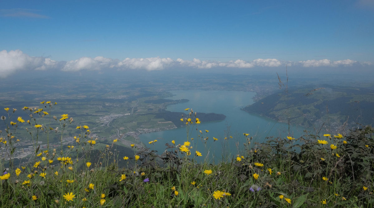 Rigi