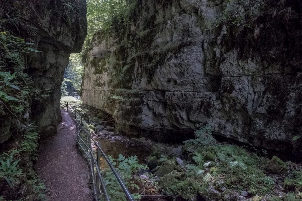 Ab durch die Twannbachschlucht