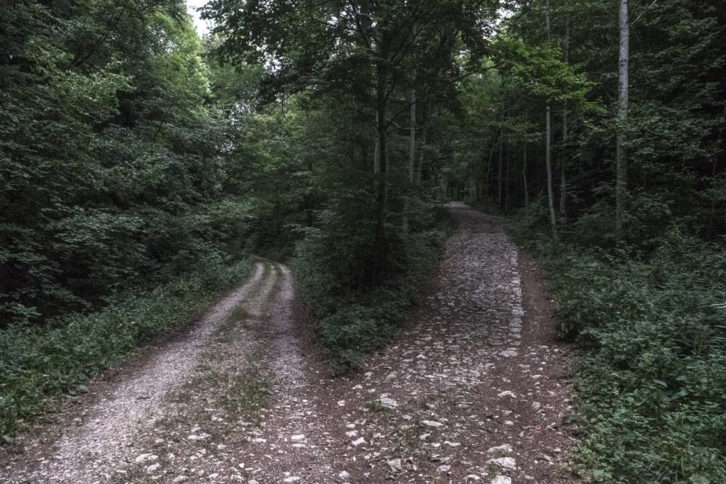 Auf dem Weg zur Schlucht Twannberg