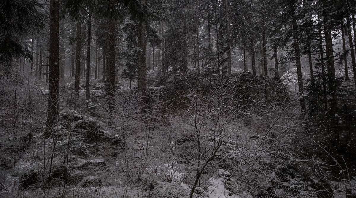 verschneiter-flimserwald