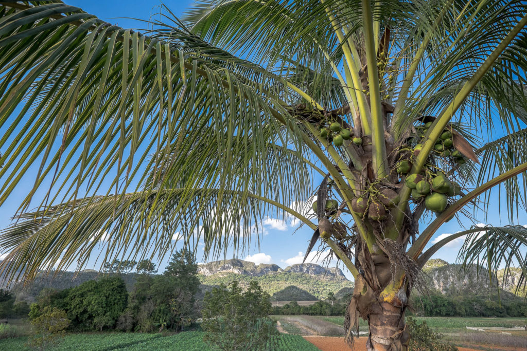 Viñales Kuba