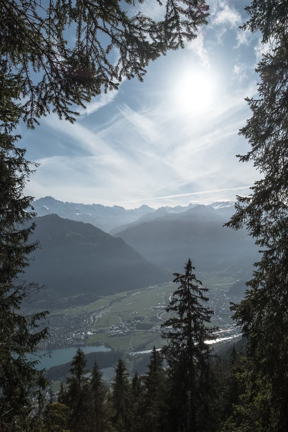 Waldrahmen für Bergpanorama